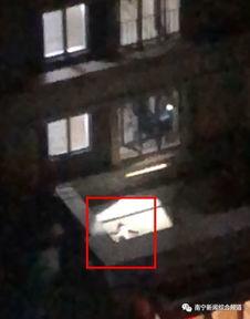 南宁爆料女孩坠楼视频  第3张