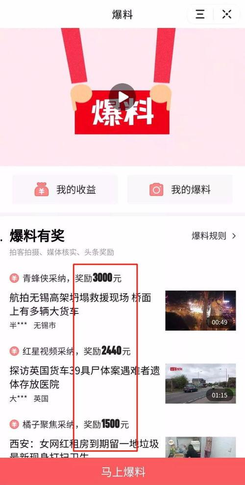 爆料视频在线免费观看  第3张