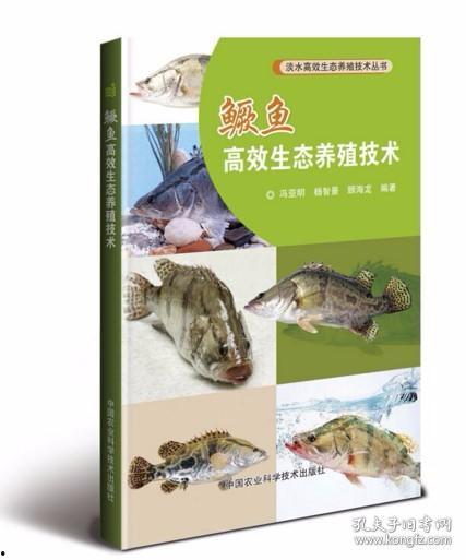鳜鱼养殖爆料视频大全最新,最新爆料视频大全深度解析 第3张 鳜鱼养殖爆料视频大全最新,最新爆料视频大全深度解析 第3张
