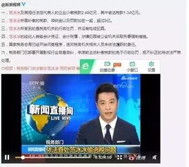 娱乐圈偷税爆料,揭秘明星避税黑幕 第2张 娱乐圈偷税爆料,揭秘明星避税黑幕 第2张