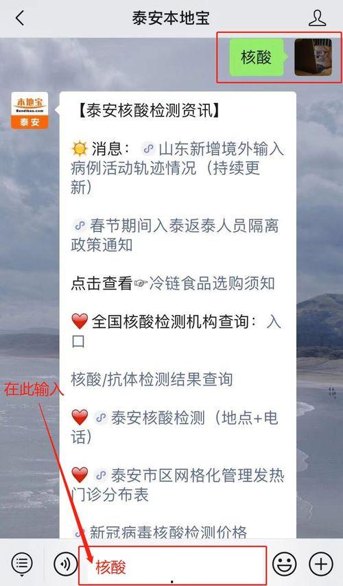 泰安核酸爆料事件最新情况,最新进展与调查情况揭晓 第3张 泰安核酸爆料事件最新情况,最新进展与调查情况揭晓 第3张