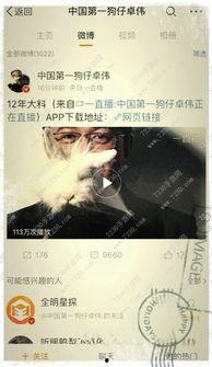 卓伟爆料有意思吗视频播放,揭秘“有意思视频”背后的精彩故事