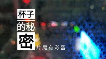 山东饭店爆料视频播放,揭露行业潜规则与真相
