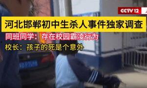 爆料河北学校事件视频曝光,真相揭开，引发社会关注