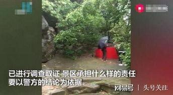 邯郸大树爆料事件始末视频,揭秘真相与争议