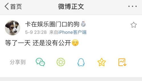 暴走吃瓜爆料免费观看全集,免费观看全集，揭秘娱乐圈幕后真相  第3张
