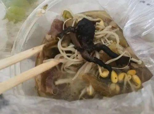 牛蛙后厨爆料视频,视频曝光惊人细节  第3张